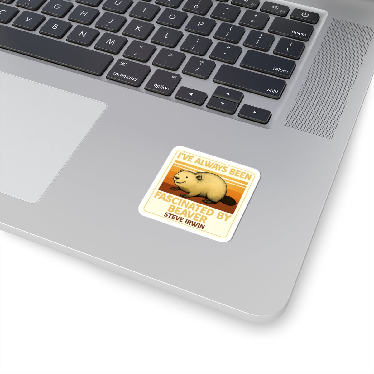 Beaver Decal
