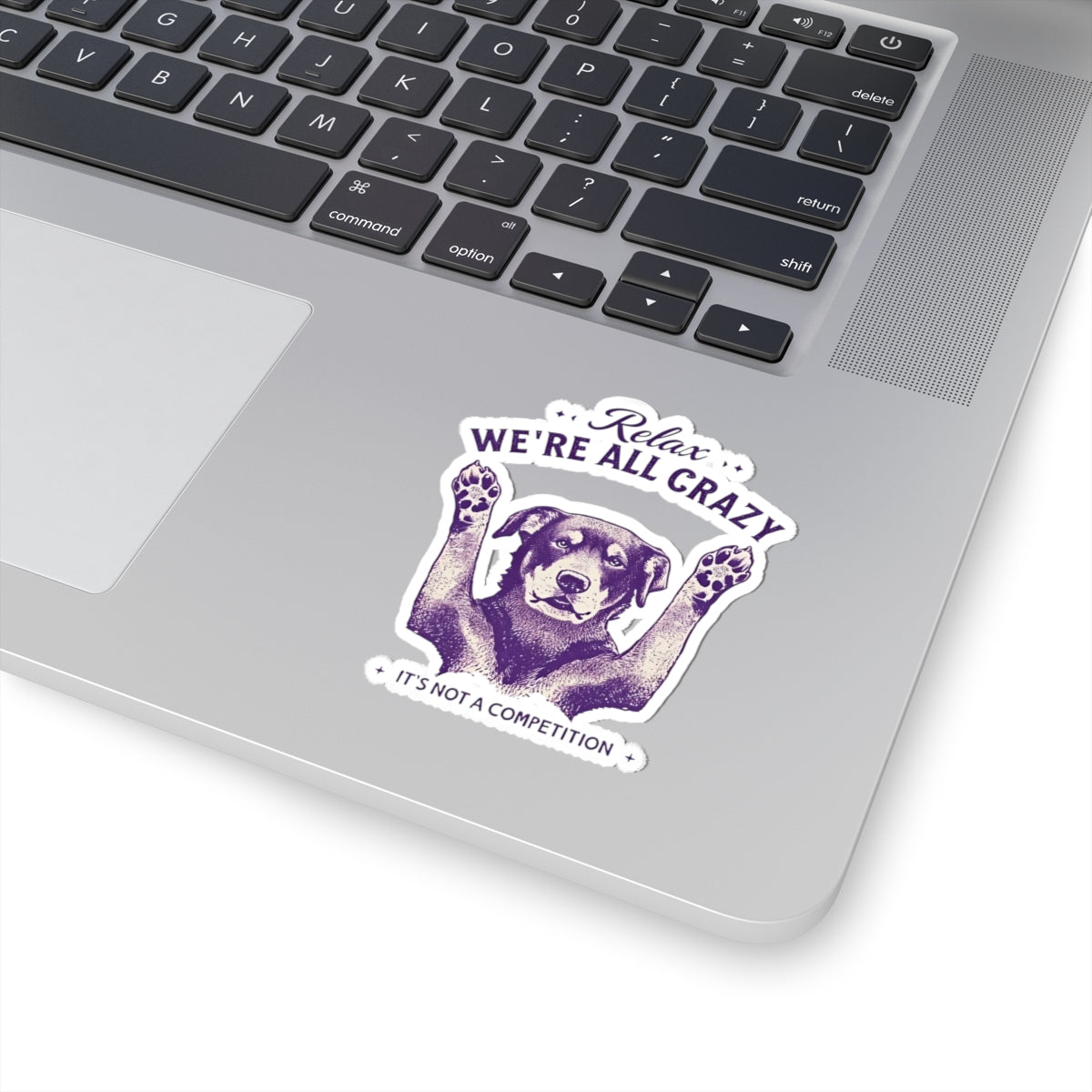 Relax We Are All Crazy Decal