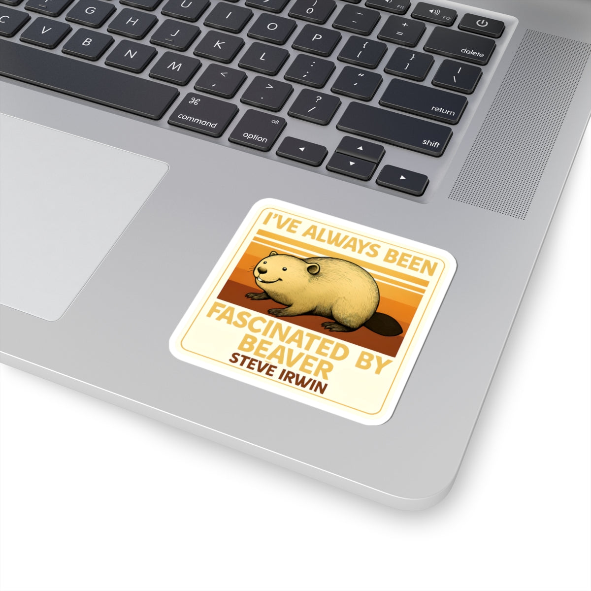 Beaver Decal