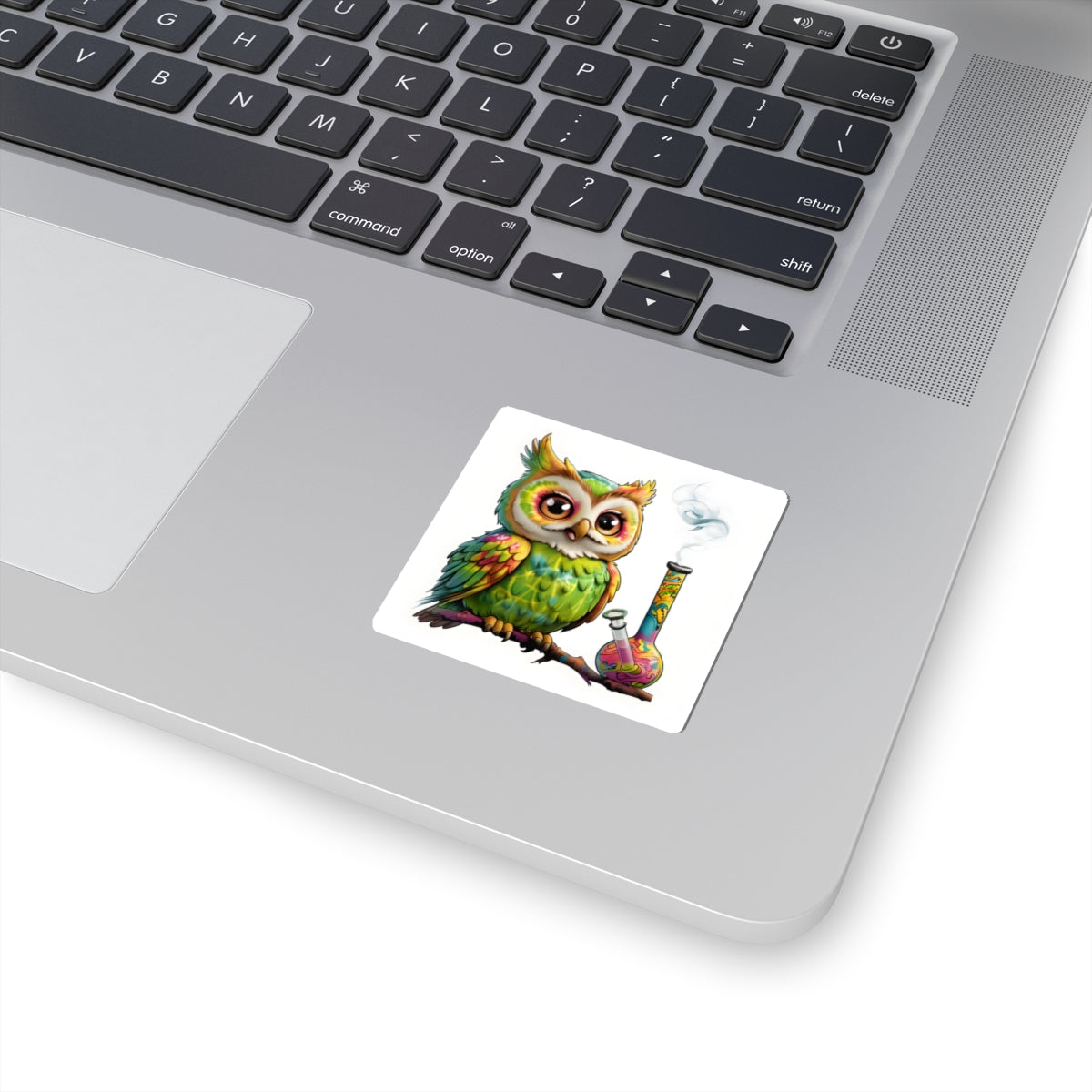 Owl Decal