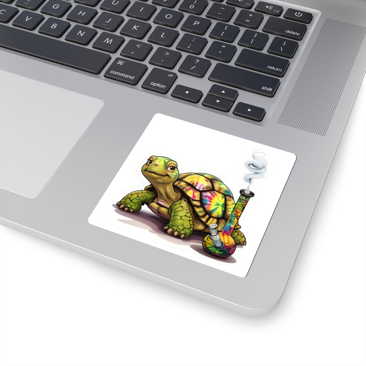 Turtle Decal