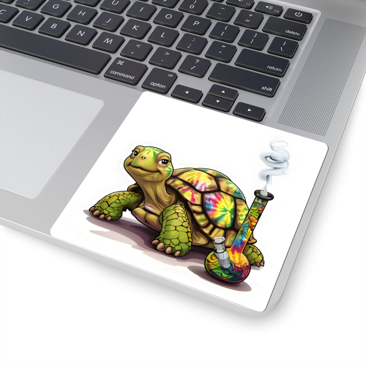 Turtle Decal