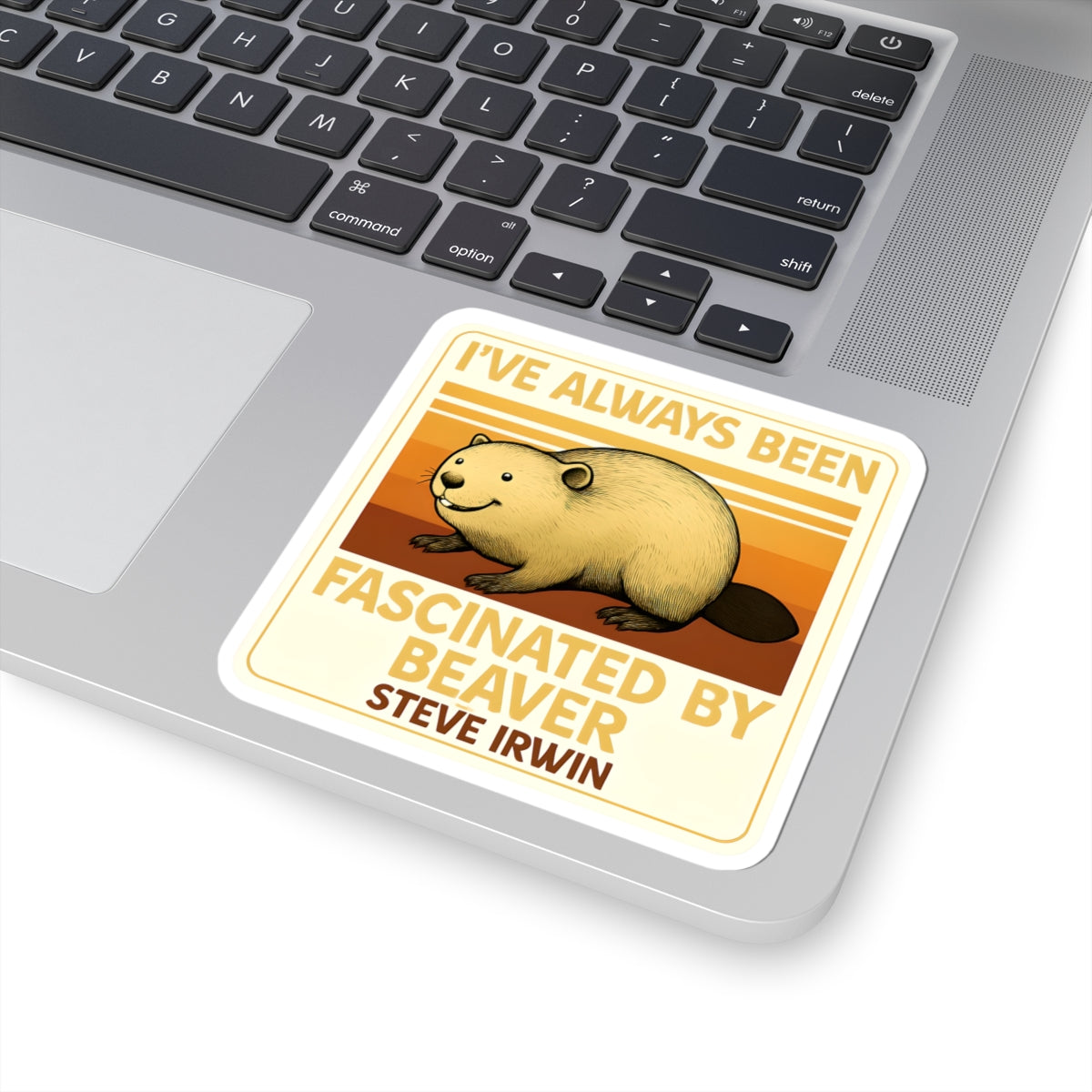 Beaver Decal