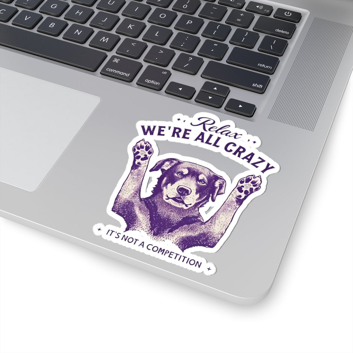 Relax We Are All Crazy Decal
