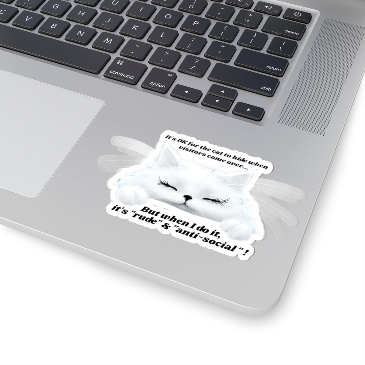 Anti-social Decal