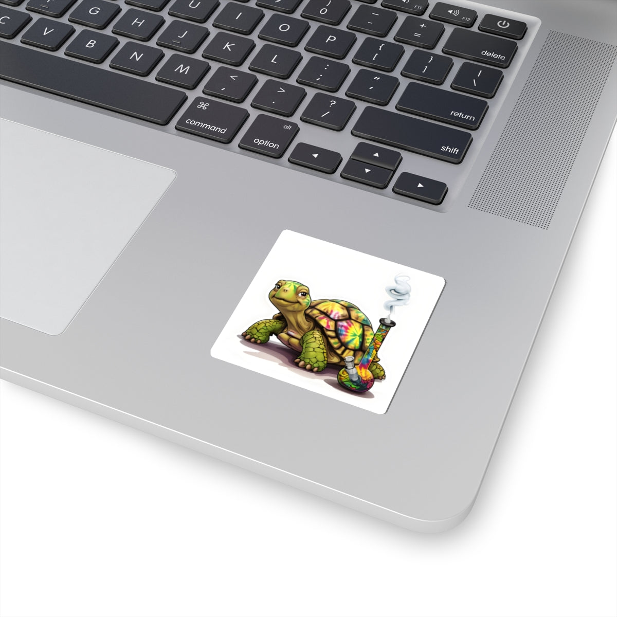 Turtle Decal