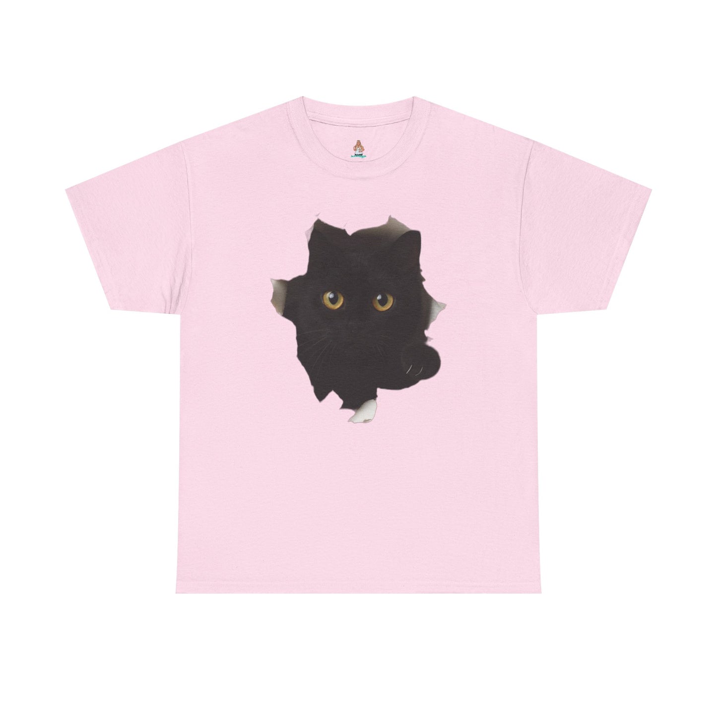 Black Cat