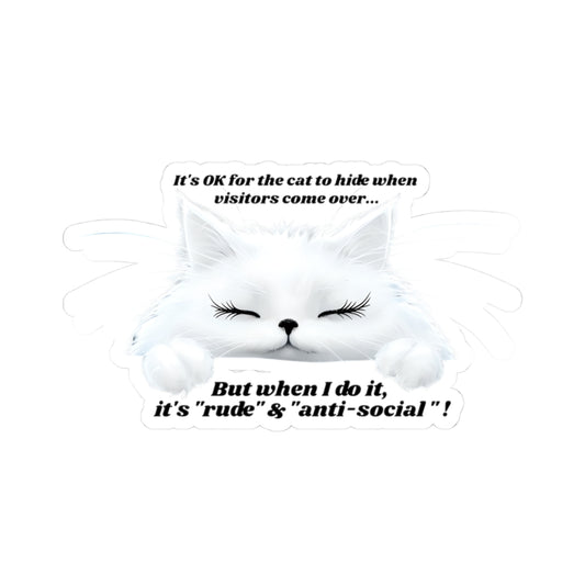 Anti-social Decal
