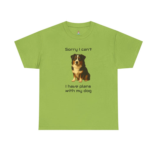 Dog-Australian Shephard