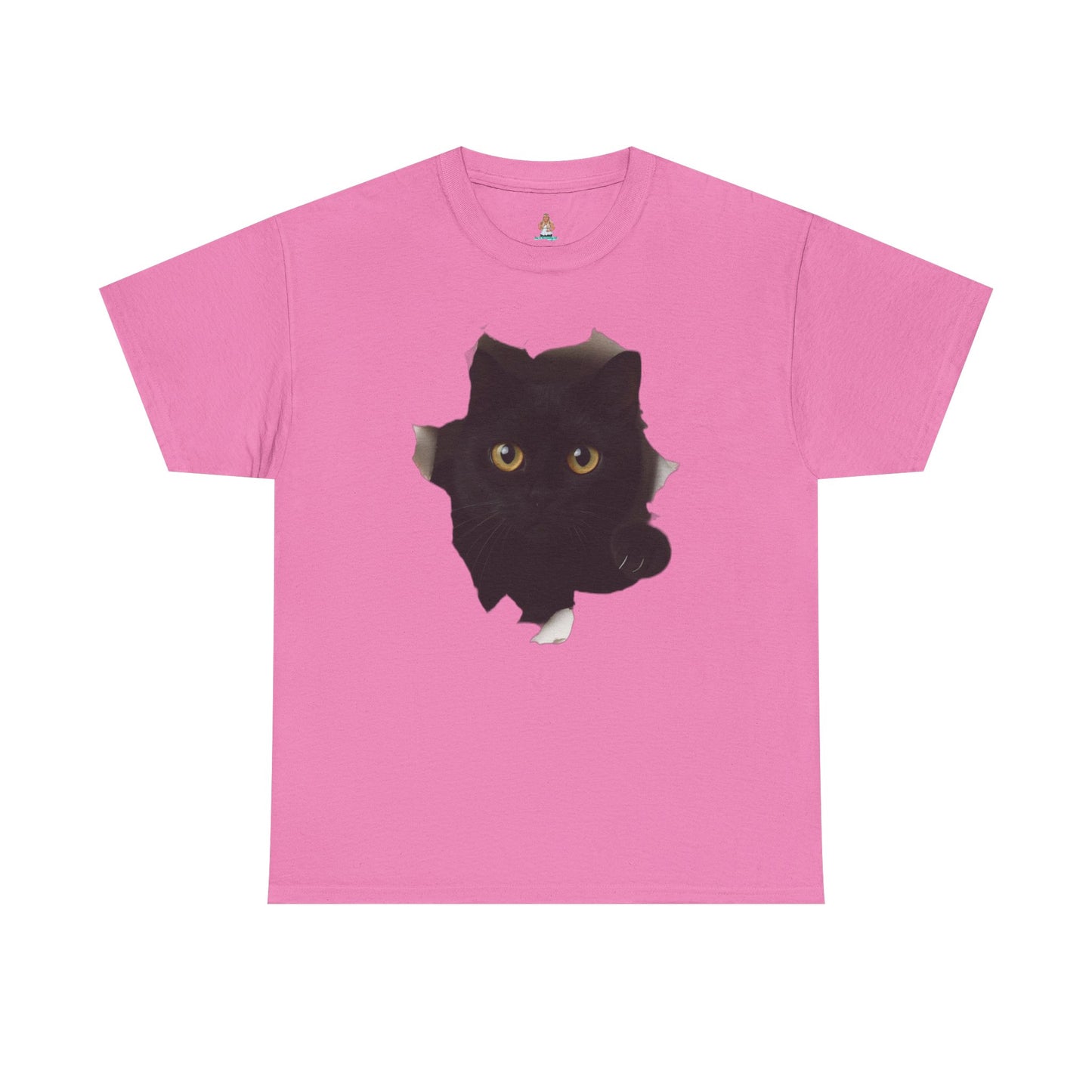 Black Cat