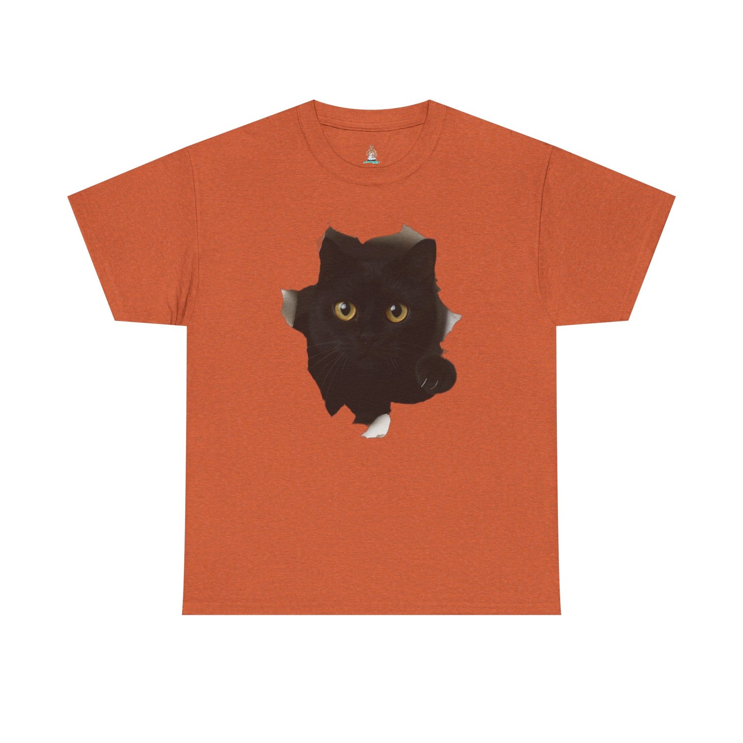 Black Cat